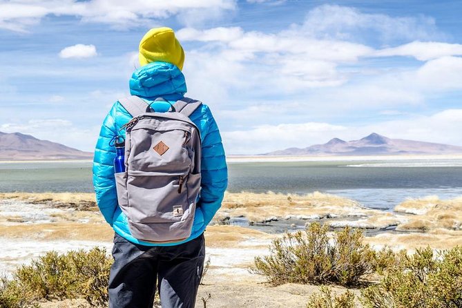 7-Day Tour in Salta, the Calchaqui Valley and Cafayate and San Pedro De Atacama - Crossing the Border to Chile
