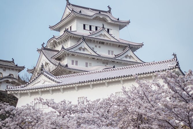 7 Day Tour-The Best of Japan and China - Booking and Availability