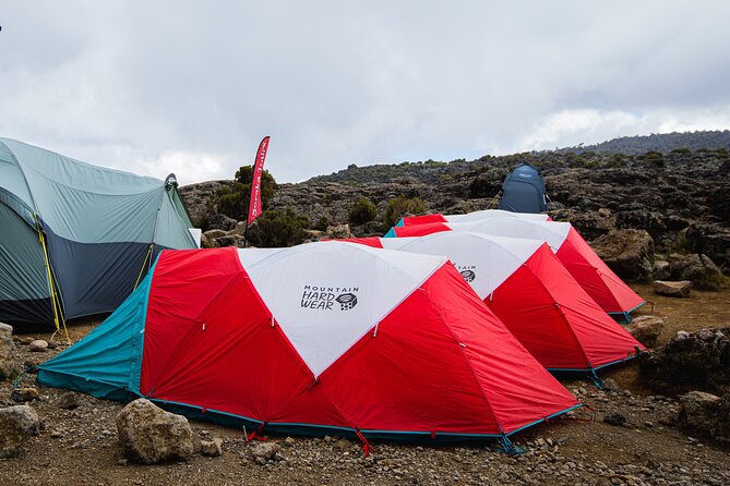 7 Day Trek To The Roof Of Africa Kilimanjaro via Machame Route - Visa and Travel Requirements
