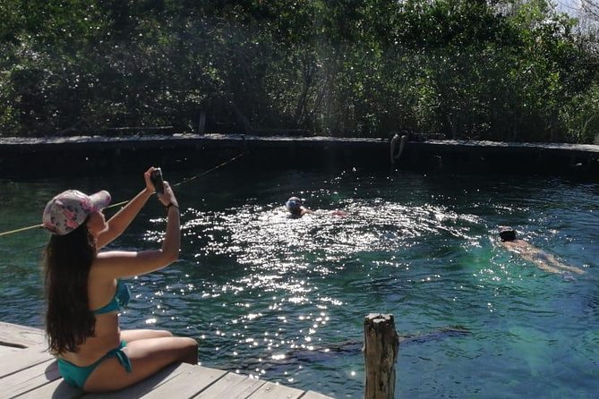 7 Day- Whale Shark Ecofriendly Tour in Cancun - Tour Reviews and Ratings