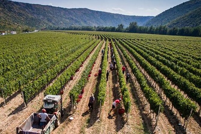 7-Day Wine Tour and Horseback Riding for Small Group in Bosnia - Horseback Riding Experience