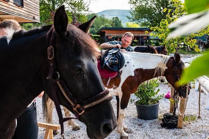 7-Day Wine Tour and Horseback Riding for Small Group in Bosnia - Spa and Relaxation Inclusions