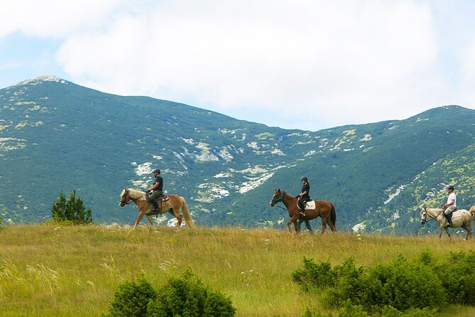 7-Day Wine Tour and Horseback Riding for Small Group in Bosnia - Travel and Pickup Information