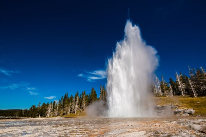 7-Day Yellowstone National Park Rocky Mountain Explorer - Key Points