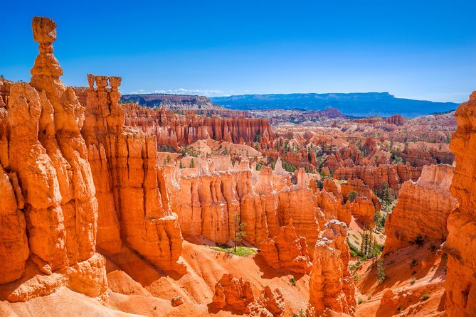 7-Day: Zion, Bryce, Monument Valley, Arches and Grand Canyon Tour - Zion National Park