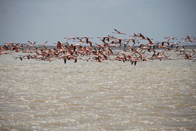 7 Days 6 Nights Alta Guajira Photographic Route Tour With Pick up - Key Points