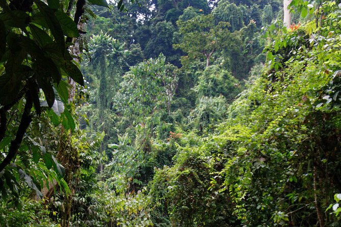 7 Days 6 Nights North Sumatra Tour (Bukit Lawang-Berastagi-Lake Toba) - Included Meals