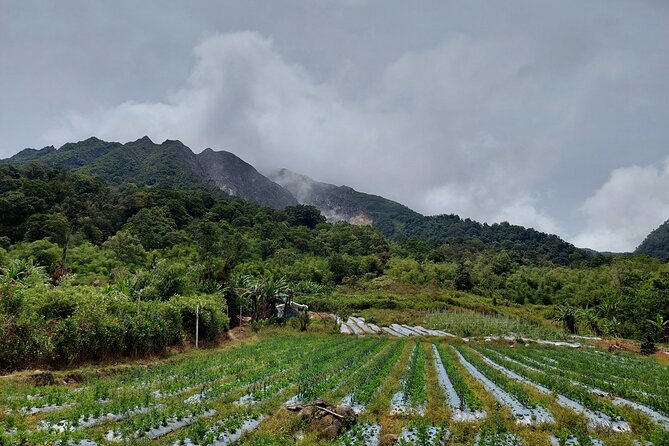 7 Days 6 Nights North Sumatra Tour (Bukit Lawang-Berastagi-Lake Toba) - Accessibility Information
