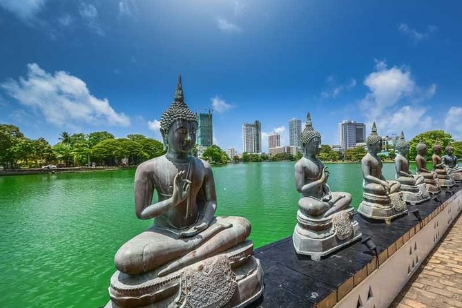 7 Days 6 Nights Package Tour With Holiday Walkers Sri Lanka - Nature and Wildlife Highlights