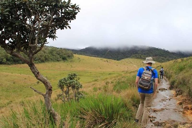 7 Days 6 Nights Package Tour With Holiday Walkers Sri Lanka - Customer Feedback and Testimonials