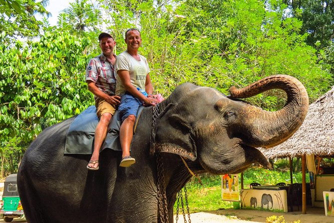 7 Days 6 Nights Package Tour With Holiday Walkers Sri Lanka - Customization and Flexibility