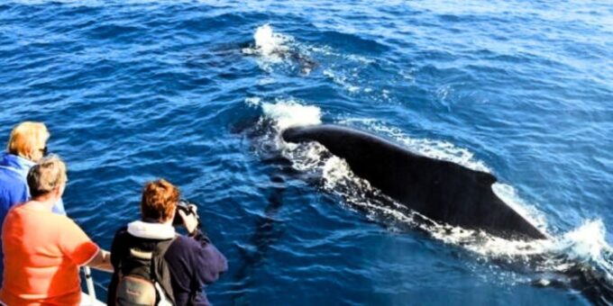 7 Days Absolute Fishing & Wildlife Safari by Boat - Booking Considerations