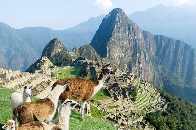 7 Days |ALL INCLUDED| Machupicchu - Rainbow, Humantay, Qeswachaka (Private) - Customer Reviews and Ratings