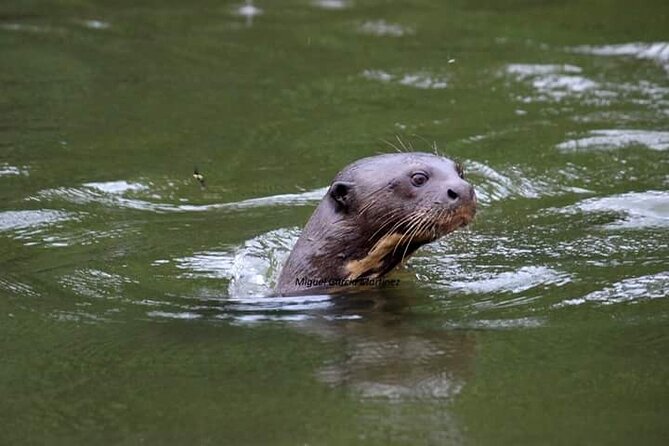 7 Days and 6 Nights Private Tour Manu National Park in Cusco - Key Points