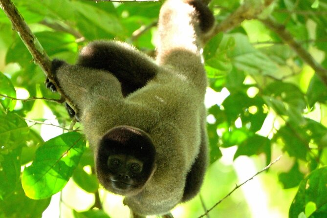7 Days and 6 Nights Private Tour Manu National Park in Cusco - Accessibility and Health Considerations