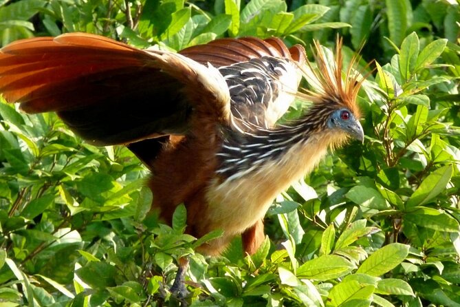 7 Days and 6 Nights Private Tour Manu National Park in Cusco - Planning Your Cusco Itinerary