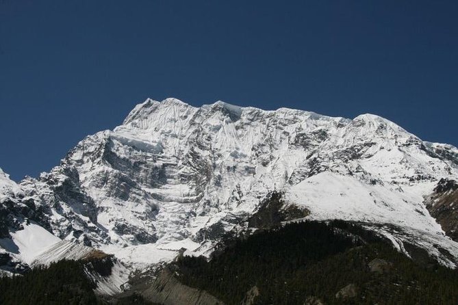 7 Days Annapurna Base Camp Trek From Pokhara - Trek Itinerary