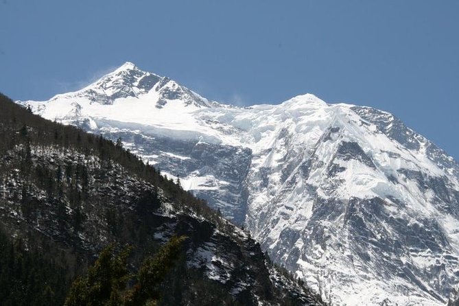 7 Days Annapurna Base Camp Trek From Pokhara - Customer Reviews