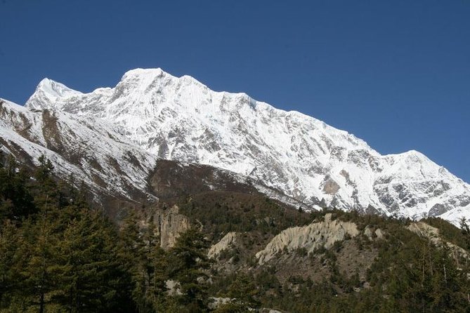 7 Days Annapurna Base Camp Trek From Pokhara - Getting to the Trek Start