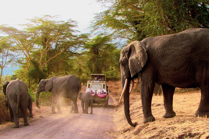 7 Days Best of Kenya Wildlife Safari - Inclusions