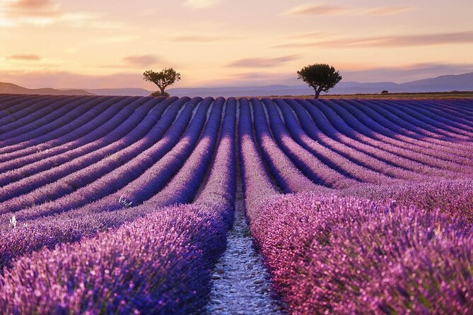 7 Days Best of Provence - Frequently Asked Questions