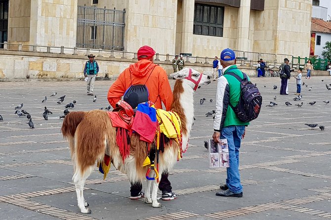 7 Days Bogotá, Villa De Leyva And Barichara - Recap