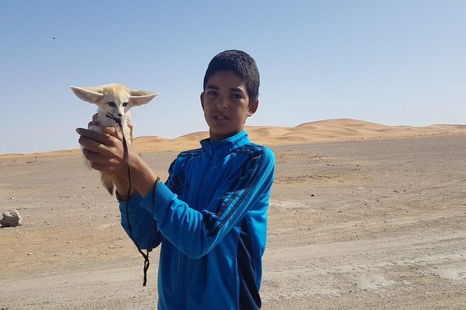 7-Days: Casablanca to Chefchaouen Then Fes and Sahara Desert - Camel Trekking - Chefchaouen and Fez Exploration