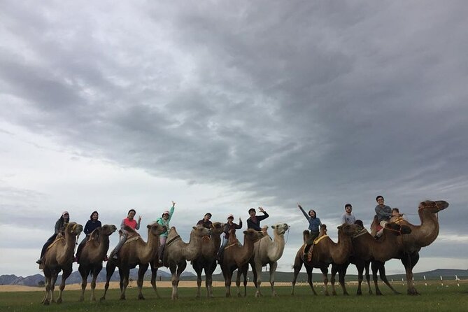 7 Days Central Mongolia and Great Gobi - Meeting and Pickup