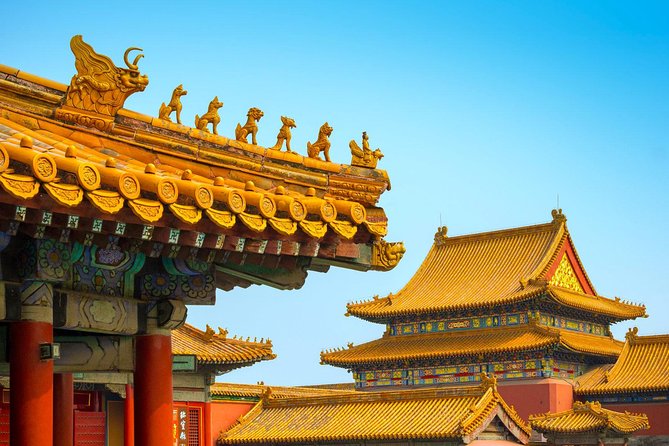 7 Days China Ancient Capitals Tour of Beijing-Luoyang-Xian by High Speed Trains - Booking Information