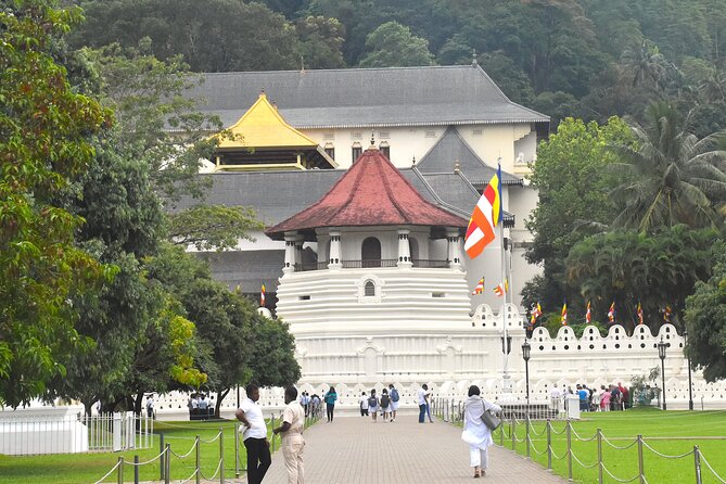 7 Days Classical Tour to Sri Lanka - Tour Schedule