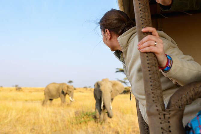 7 Days Cultural and Wildlife Safari - Wildlife Encounters
