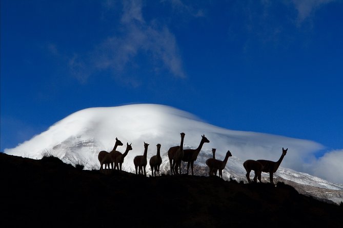 7 Days Cultural Experience Through the Andes - Trekking Through Cayambe-Coca Preserve