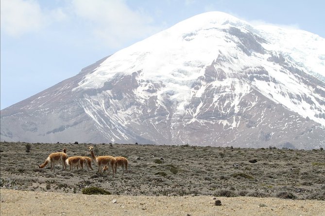 7 Days Cultural Experience Through the Andes - Journey to the Inca Fortress of Ingapirca
