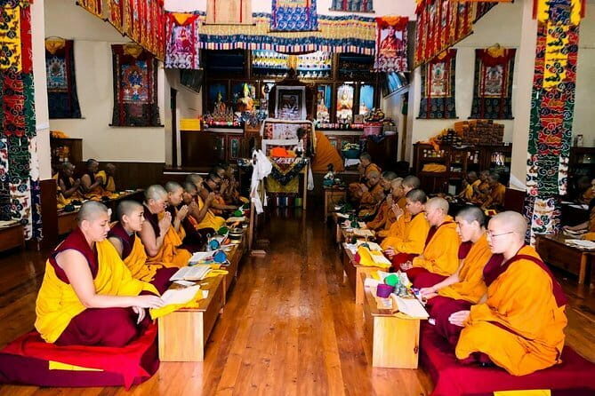 7 Days Dharamsala - Dalai Lama home Trek - Day 4: Forest Trails and Tea Breaks