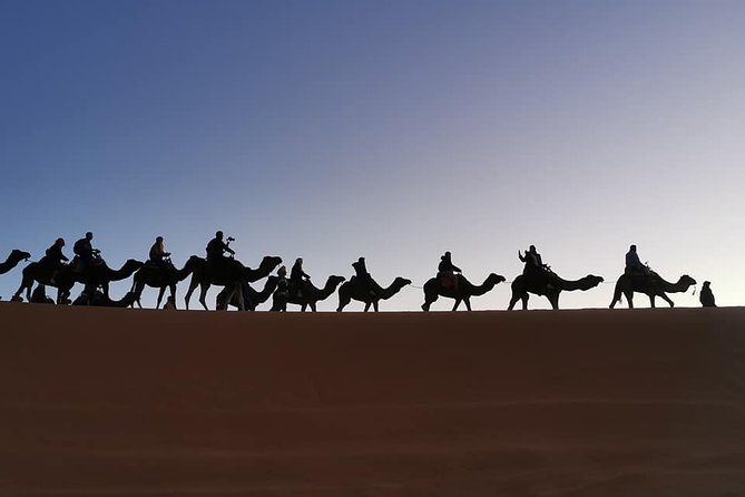 7 Days Discovery The Atlas Mountains & Luxury Sahara Desert From Casablanca - Additional Information