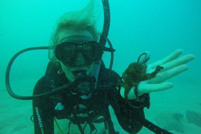 7 Days Diving and Hiking on the Galapagos Islands Tour - Transportation