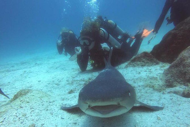 7 Days Diving and Hiking on the Galapagos Islands Tour - Costs and Fees