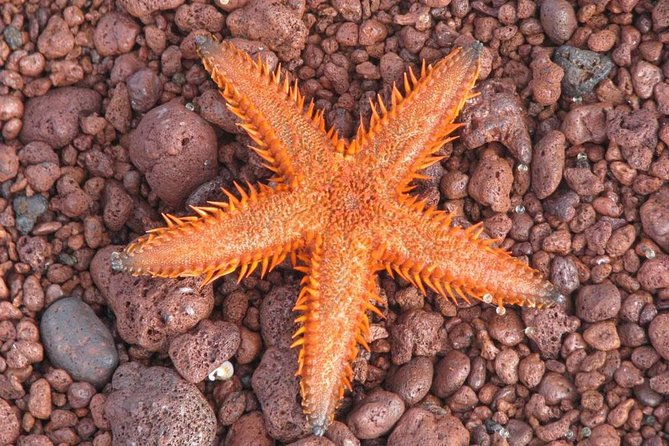 7 Days Diving and Hiking on the Galapagos Islands Tour - Booking Confirmation