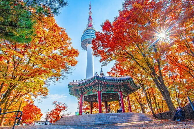 7 days Flexible Tour for Major Cities(Seoul,Busan,Gyeongju etc) - Day 3: The DMZ—A Journey into Korea’s Divide