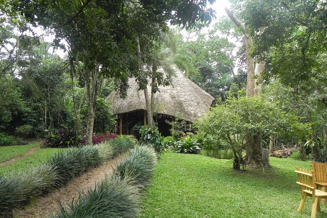 7 Days Flying Gorillas and Wildlife Safari Uganda Private Tour - Accommodation and Meals