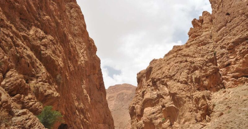 7 Days From Tangier to Marrakech ,Fes and Sahara Desert - Key Points
