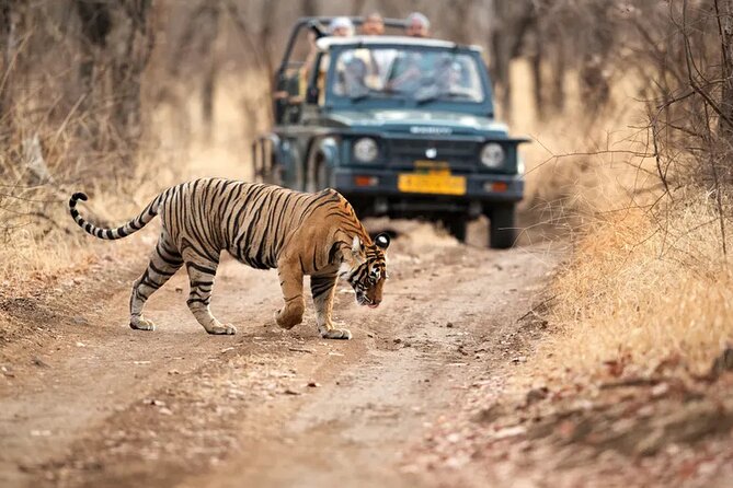 7 Days Golden Triangle Tour With Ranthambore & Varanasi Tour - Tour Pickup and Meeting
