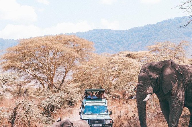 7 Days Great Migration Safari - Lake Natron: Flamingos and Rift Valley