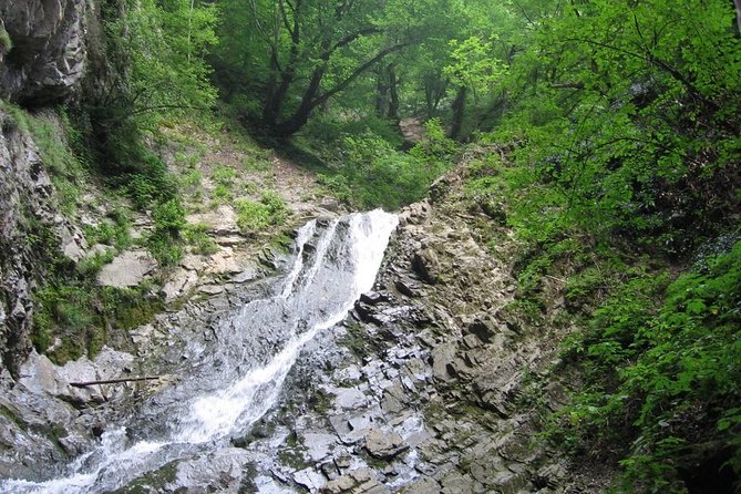 7 Days in Azerbaijan - Day Trips and Excursions