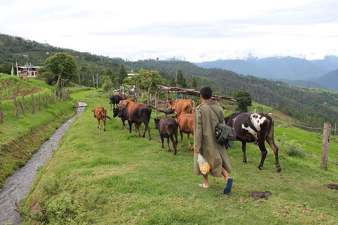 7 Days In The Magical Kingdom of Bhutan - Key Points