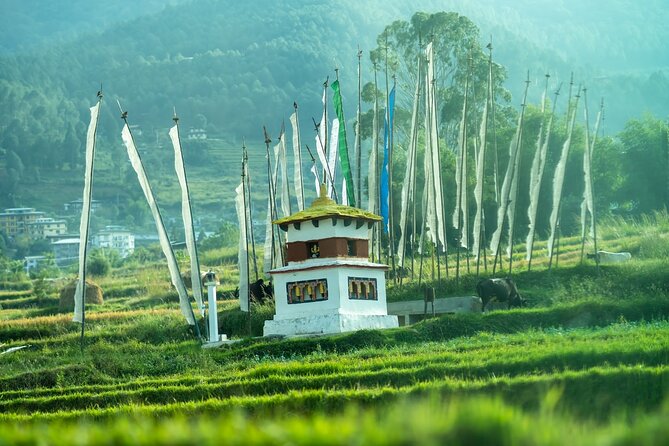7 Days In The Magical Kingdom of Bhutan - Traversing the Punakha Valley