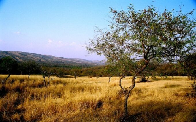 7 Days India Taj Mahal Tour With Ranthambore Tiger Safari - Additional Notes