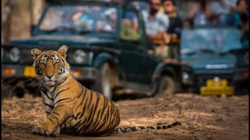 7 Days Jim Corbett Nainital Tour With Taj Mahal Tour - Itinerary Details