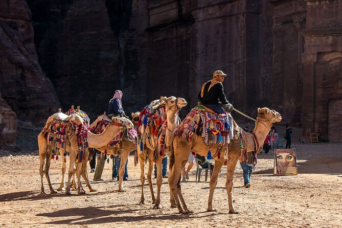 7 Days Jordan Sightseeing Tour - Key Points