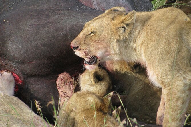 7-Days Kenya Safari Samburu, Aberdare, Lake Nakuru, & Maasai Mara - Tour Type and Duration